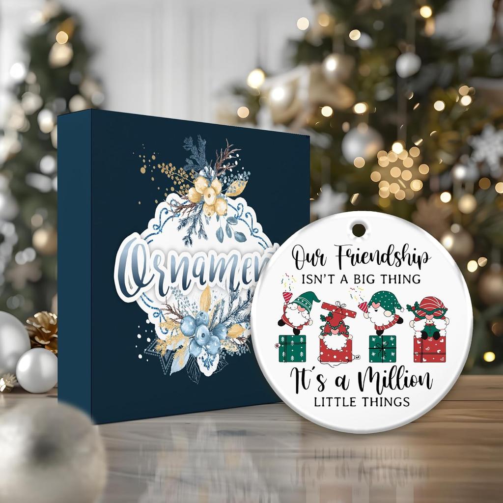 Friendship Ornament 2025 – Funny Best Friend Ornament, Gnome Gift Exchange – Our Friendship Isn’t a Big Thing, It’s a Million Little Things