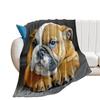 French Bulldog Digital-printed Polyester Bedroom Velvet Flannel Soft Sofa Cover Blanket Fleece Soft Sofa Cover Blankets for Beds