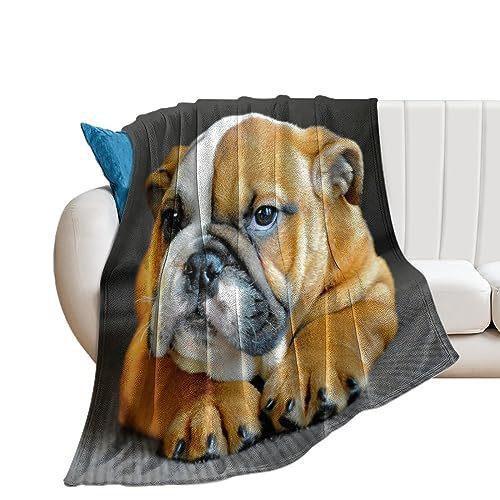 French Bulldog Digital-printed Polyester Bedroom Velvet Flannel Soft Sofa Cover Blanket Fleece Soft Sofa Cover Blankets for Beds