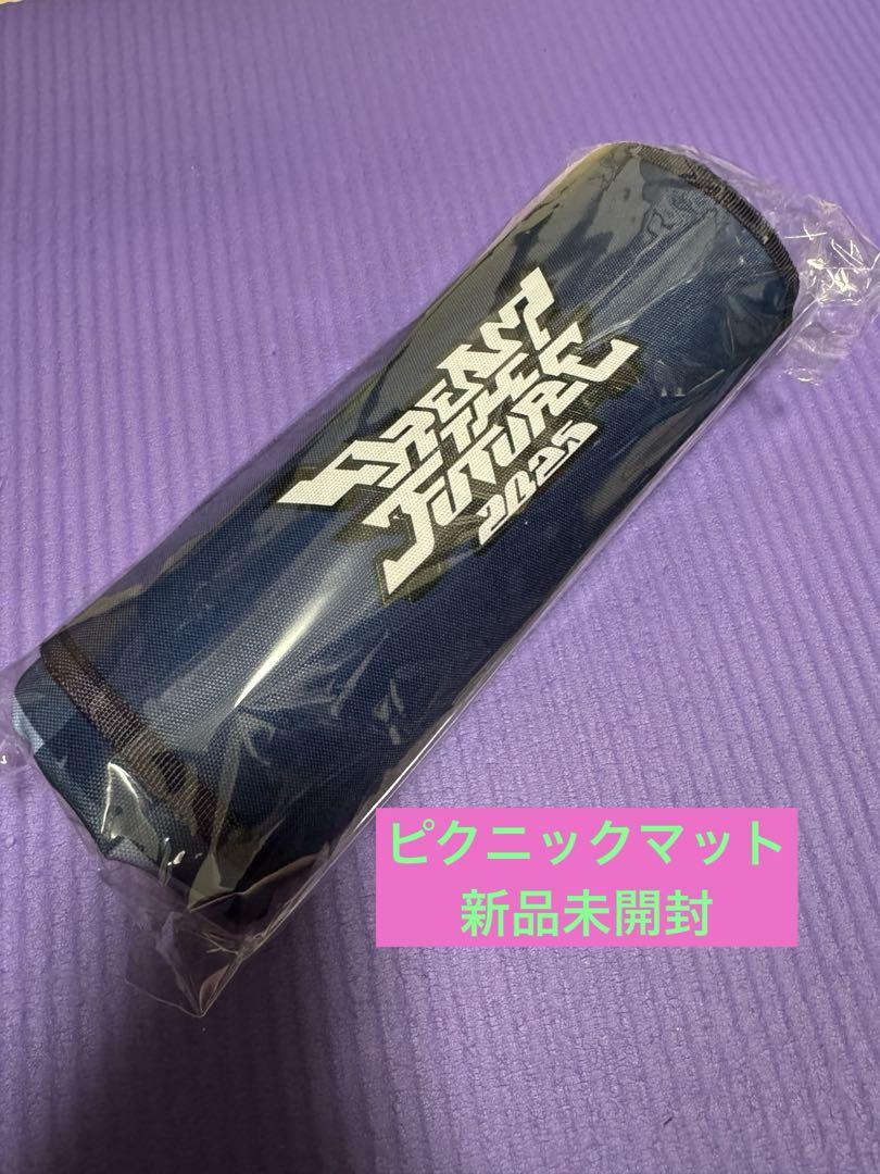 

[Б/У] NCT DREAM Dream Shop Коврик для пикника Gropa