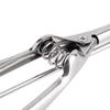 4cm/5cm/6cm Ice Cream Spoon Kitchen Ice Cream Potato Spoon Spring Handle Stainless Steel Fruit Spoon Kitchen Accessories