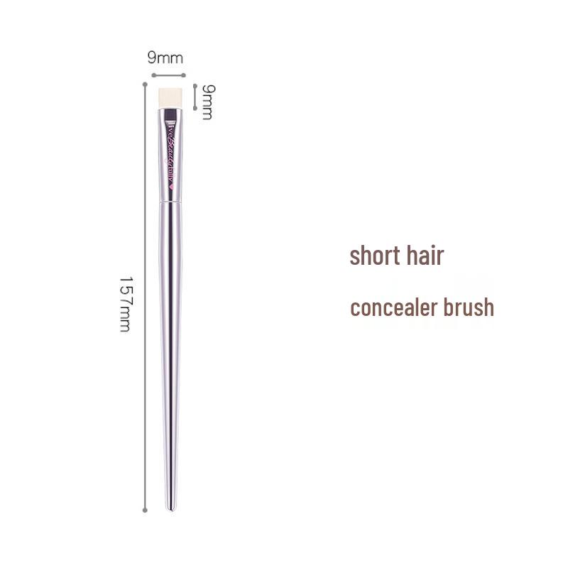 

Bailan Makeup Brush Set: IT Series Blush, Blending, Eyeshadow & Foundation Brushes