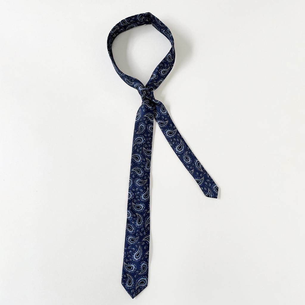 Wholesale British Gentleman Paisley Vintage Hand Hit Best Man Work Tie Party Luxury