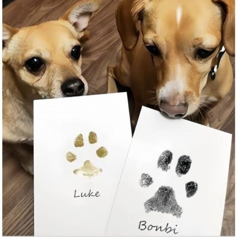 Inkless Cat Dog Paw Print Kit Pad Safe Non-toxic Baby Handprint Footprint Easy DIY Souvenir for Newborn Shower Pet Souvenir