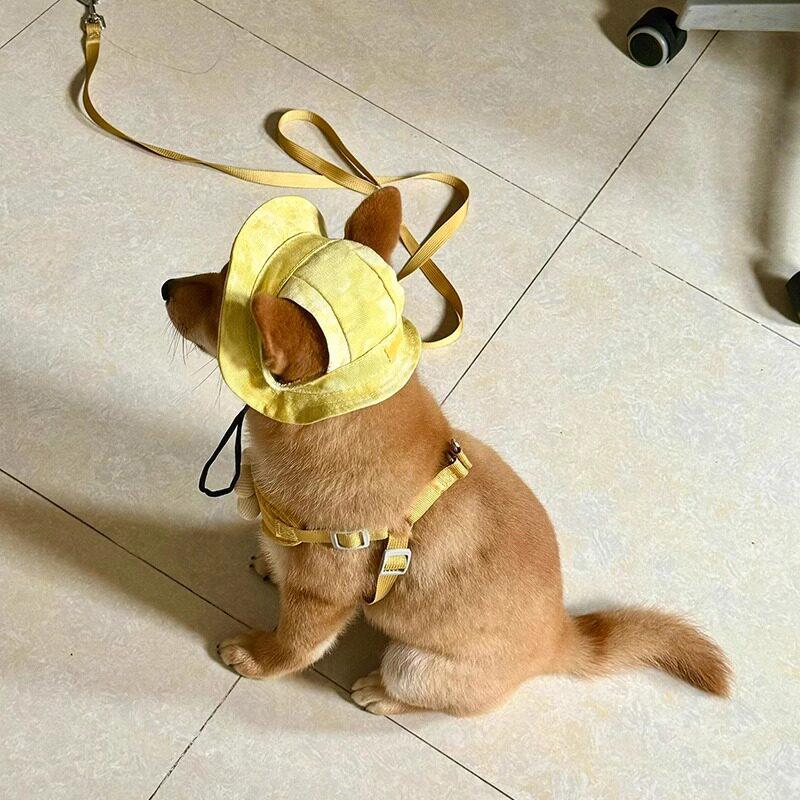 Cappello da Sole Estivo per Gatti con Fori per le Orecchie - Carino Cappellino da Pescatore per Gattini Per Protezione UV Traspirante Cappellino da Sole da Esterno per Gatti