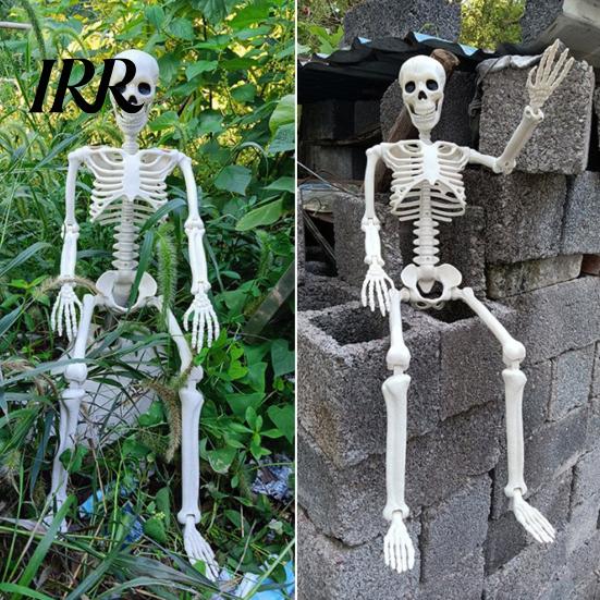 Durable Skeleton Model for Cemetery Theme Halloween Decoration, 3Ft Life Size Full Body Human Bone, Realistic Posable Party Decorations with