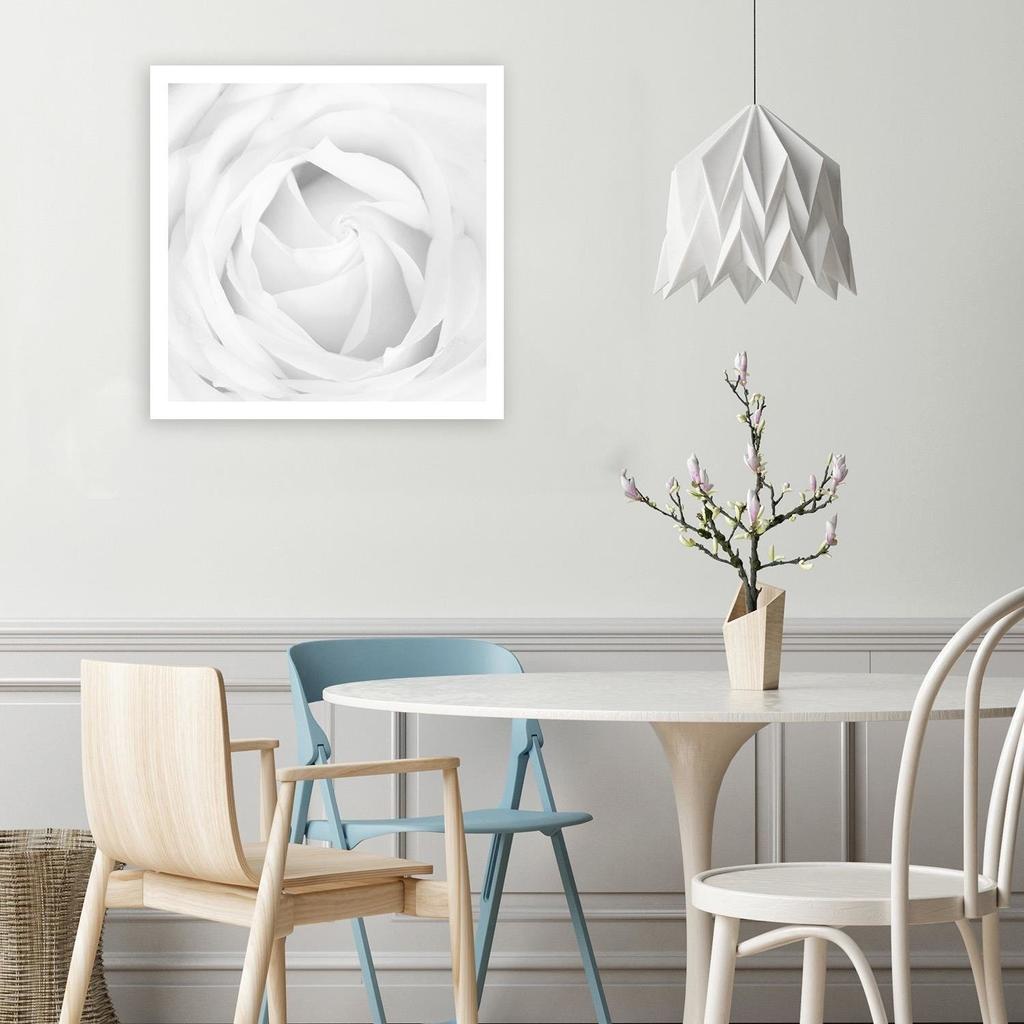 Obraz Rostlina květu bílé růže