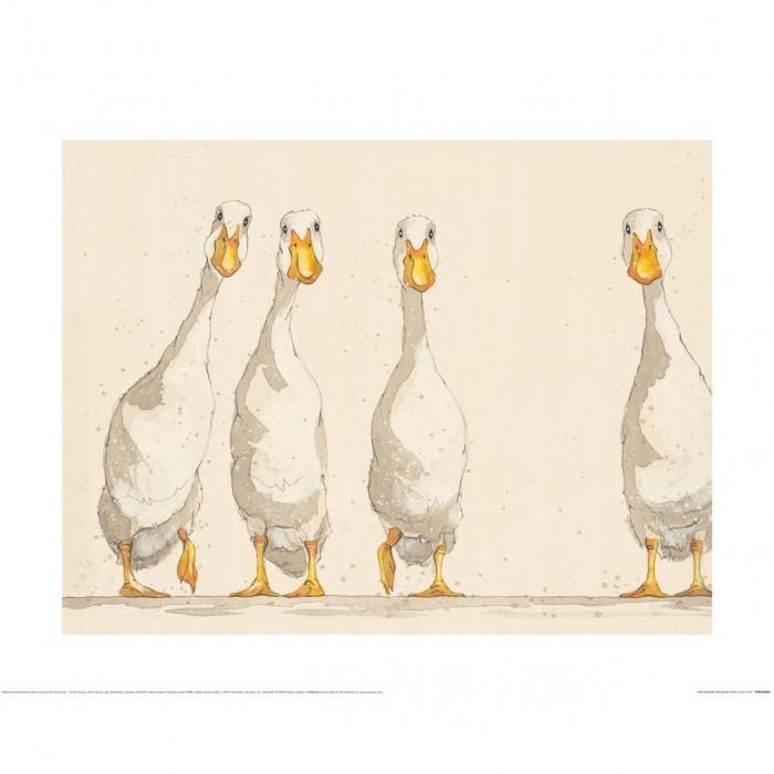 Bev Davies Nice Weather For Ducks Print