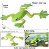 Animal Childrens Frog Plastic Model Toy For Educational Play Gift Collectors