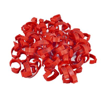 100Pcs Chicken Leg Rings Clip On Bright Color Sturdy Plastic Numbered Poultry Leg Bands for Birds Ducks Goose Gamefowl