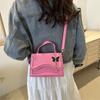 Chic Casual Small Square Bag 2024 Spring New Fashionable Shoulder Bag Trendy Handbag