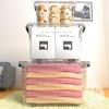 SPACEXPERT 20L Blue Storage Box