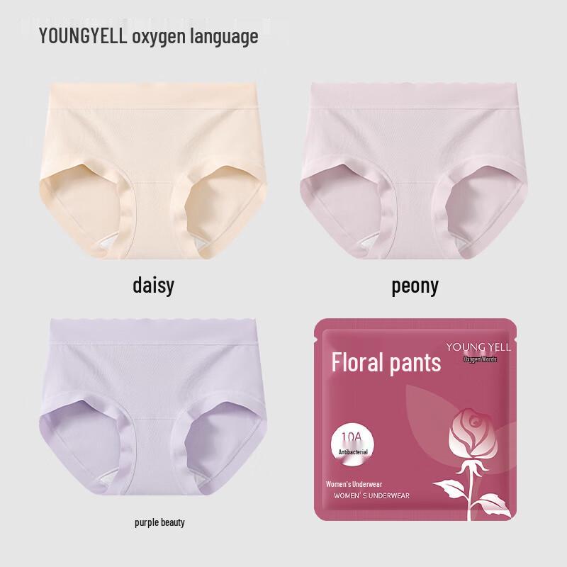 YOUNGYELL Women's 3-Pack Seamless Mid-Waist Antibacterial Cotton Underwear