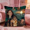 CCrash Landing On You Cushion Cover Premium Comfort Reversible Pillow Cove Two In One Design For Any Room  Car Interior