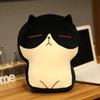 30/40Cm Cute Fat Cat Cartoon Pillow Cushion Kawaii Toast Kitty Plush Toys Anime Soft Stuffed Animal Dolls Kids Children Gift