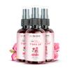 Nat Habit - 100% Pure Gulab Jal - Rose Water - Toner, Face-Mist, Astringent & Face Spray - Ayurvedic, Steam-Distilled For Oil-Control, Skin Hydrati