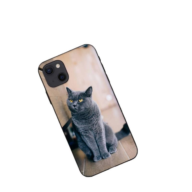 Gilt für die Handyhülle des iPhone 16, neue süße Handyhülle mit blauem Katzenmotiv.