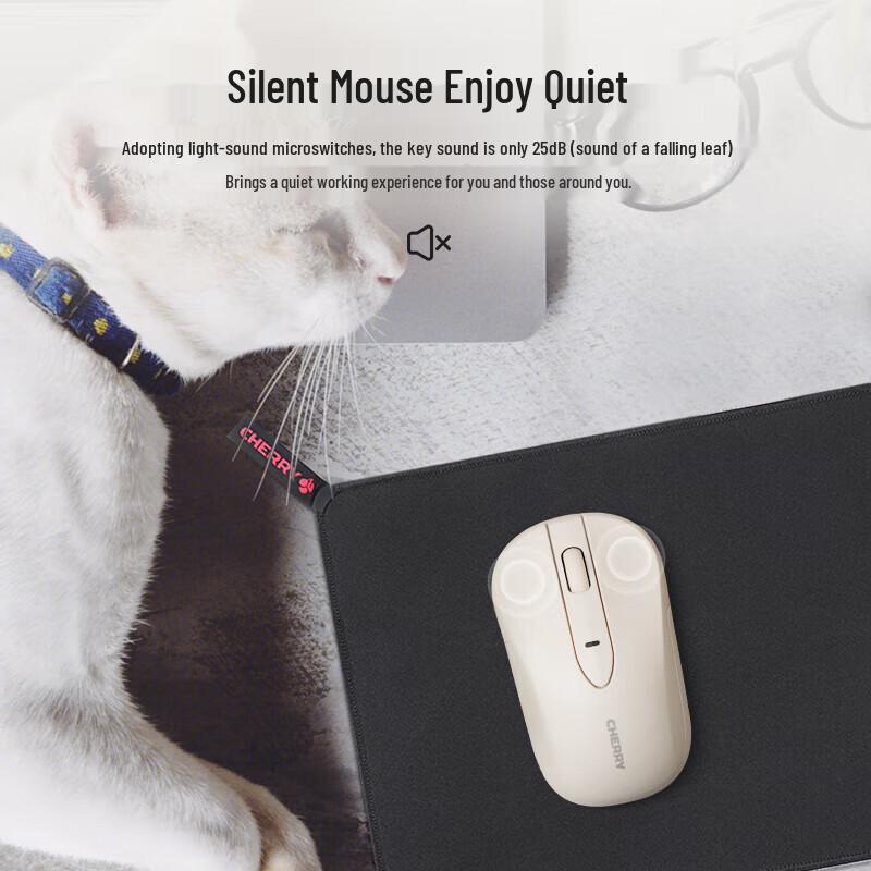 CHERRY DW2300 Wireless Keyboard and Mouse Set