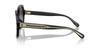 Sunglasses HC8395F CR962 BLACK 56 [Coach] Women's
