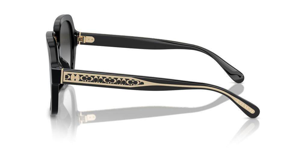 Sunglasses HC8395F CR962 BLACK 56 [Coach] Women's