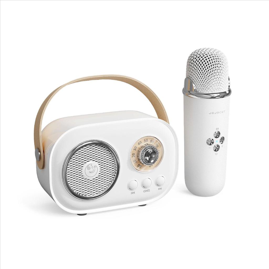 Children's Wireless Bluetooth Karaoke & Education Microphone Speaker