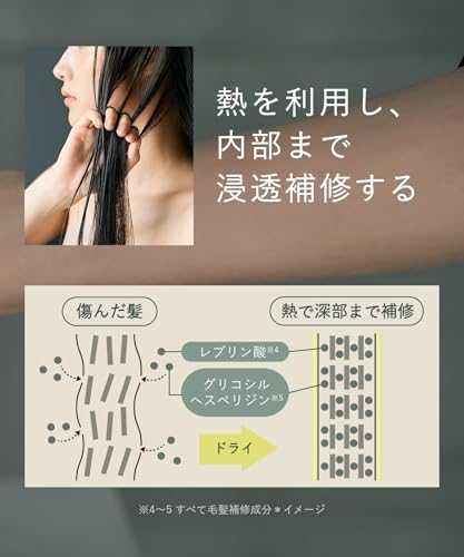 BOTANIST SANTAL Repair Oil-in Shampoo Treatment Set