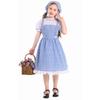 Hildren's Dorothy From The Wizard of Oz Costume Halloween Cosplay Lolita Maid Pastoral Character Shooting Dress