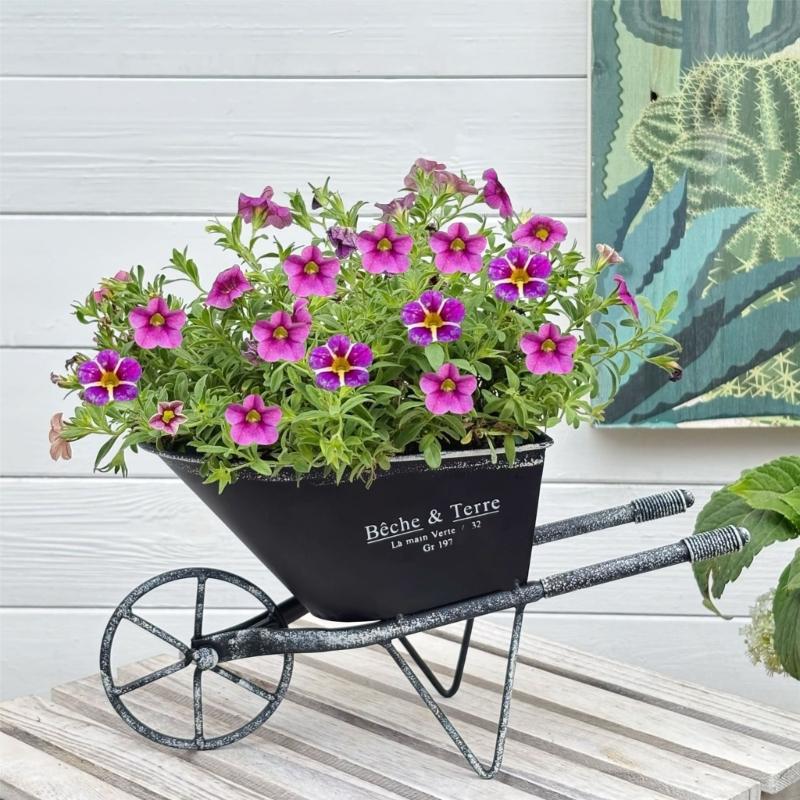 Antique Iron Metal Flowerpot Weather Resistant Iron Planter Flower Container For Balcony Garden Indoor and Outdoor Use