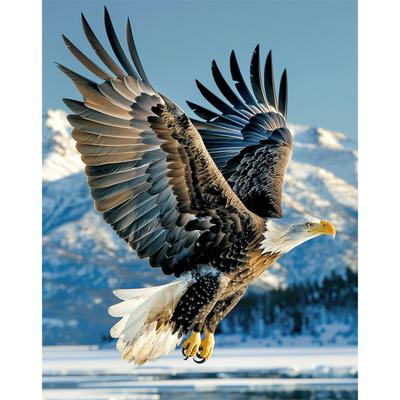 5d DIY Diamond Painting Cross Stitch Animal Eagle Diamond Embroidery Mosaic Full Round Drill Home Decor Arts