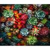 5d DIY Diamond Painting Full Square Succulent Plants Diamond Embroidery Beads Sets Mosaic Flower Rhinestone Picture