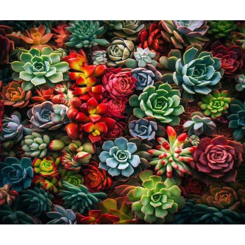 5d DIY Diamond Painting Full Square Succulent Plants Diamond Embroidery Beads Sets Mosaic Flower Rhinestone Picture