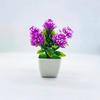 Balls Artificial Pinecone Potted Plant For Wedding Centerpieces Gifts And