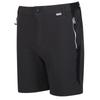 Regatta Mens Mountain II Shorts
