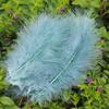 50Pcsdiy Color Feather Full Fleece Turkey Feather Clothing Antique Headdress Pet Toy Handicraft Decoration