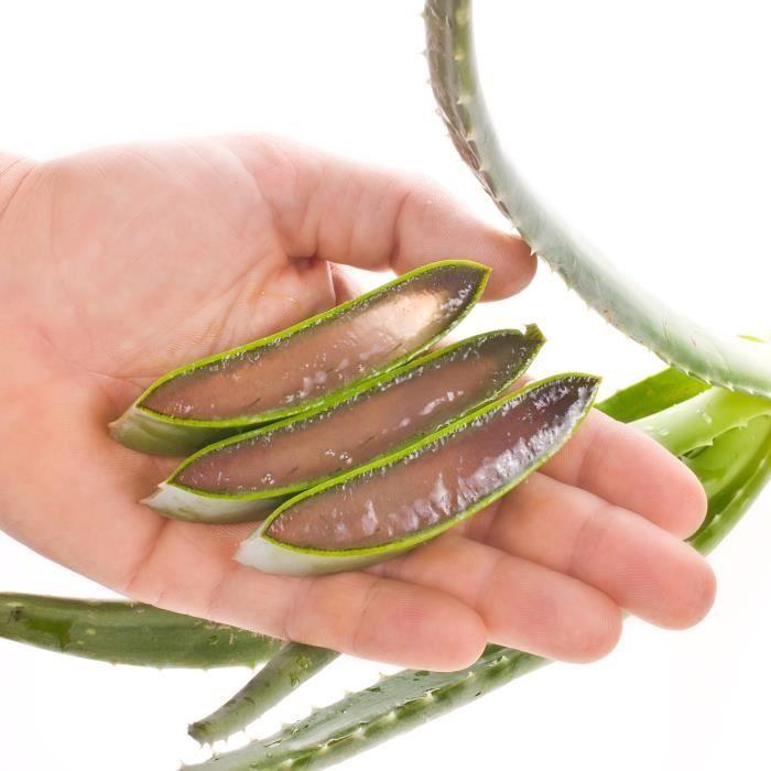 Aloe Vera Gel - 100% natrlich - 1000 ml - bio - ohne Konservierungsstoffe  - fr alle Hauttypen gnstig kaufen  Preis, kostenloser Versand, echte  Bewertungen mit Fotos  Joom
