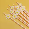 Creative Pink Daisy Party Straws with Decorative Card
