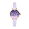 Exquisite Temperament Casual Light Luxury Gradient Romantic Fine Sparkling Baby's Breath Ladies Watch