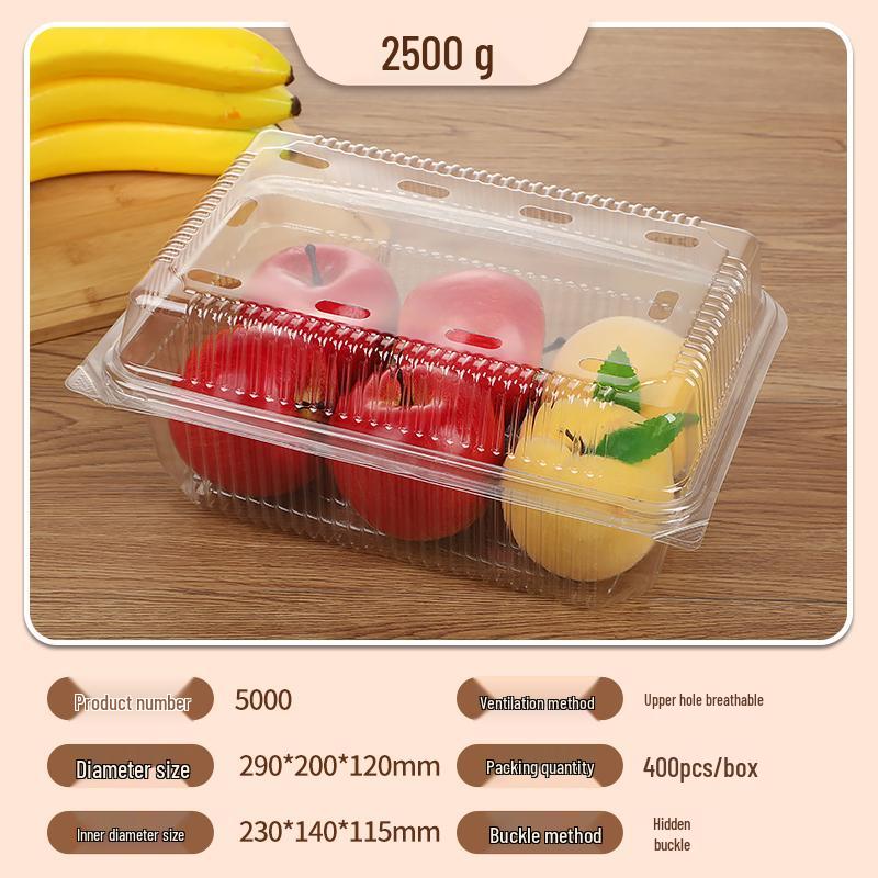 Portable Disposable Transparent Plastic Rectangular Fruit Packaging Box with Lid