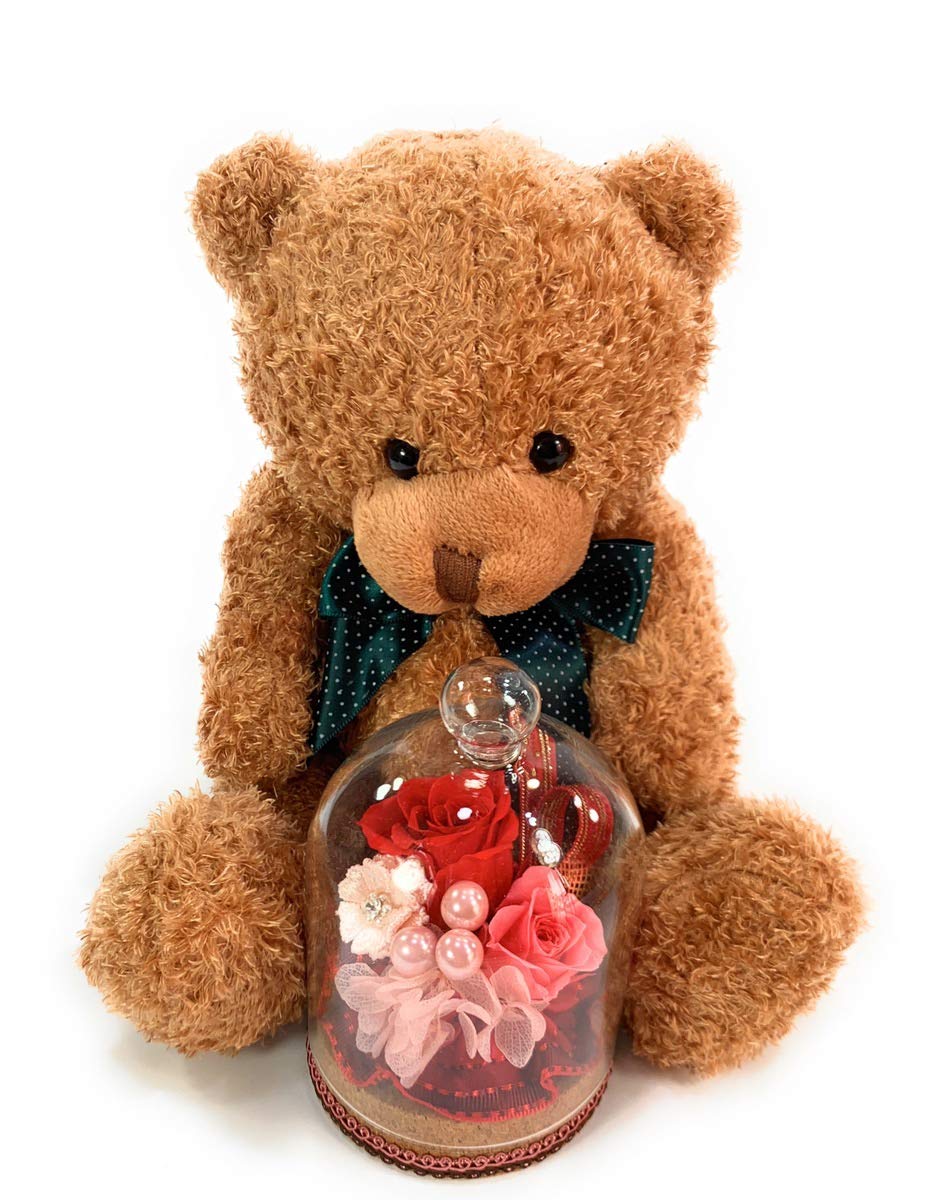 

NICHIFLRO Preserved Flowers, Made in Japan, Flower and Bear Design, Birthday, Mother s Day, Gift, Cute Glass Dome (Color: Red, Bear of your choice)