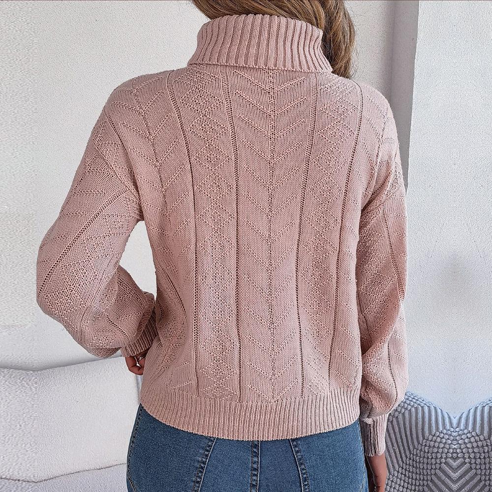 Women Autumn Winter Casual High Neck Fried Dough Twists Long Sleeve Knitting Pullover Sweater