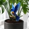 Decorative Plant Inserts Fairy Garden Stake, 2D Acrylic Cute Animal Yard Art Backyard Landscaping Supplies Tale Cottage Ornament for Patio Flower Bed