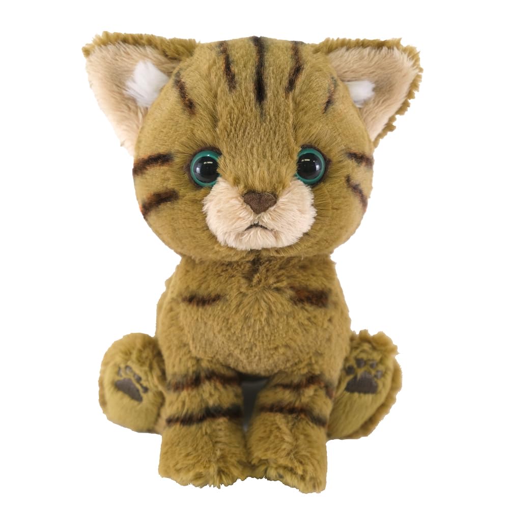 Sun Lemon Kitten Brown Tabby X 10 X 13cm Plush Animal Cat 16.5 P-8722