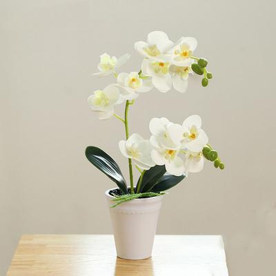 11 Heads Simulation Phalaenopsis Vivid Artificial Orchid Flower  Garden Home Decoration