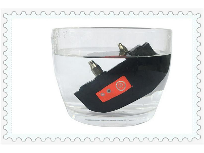 TP16 Electronic Pet Trainer & Bark Control System