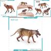 Simulated Wild Animal Wolf Model Ornament For Kids Educational Display With Realistic Design