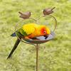 Iron Bird Bathtub Retro Bird Water Bowl Bird Raising Tool Bird Feeding Dish  Hummingbird