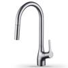 TLXT Brass Kitchen Faucet with Pull-Out Sprayer