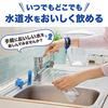 DAFI Portable Water Purifier Bottle with Cartridge (Mint, 500ml) [Japan Specification/Official Japanese Product]