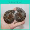 Accesorii pentru decor – Produse din metal