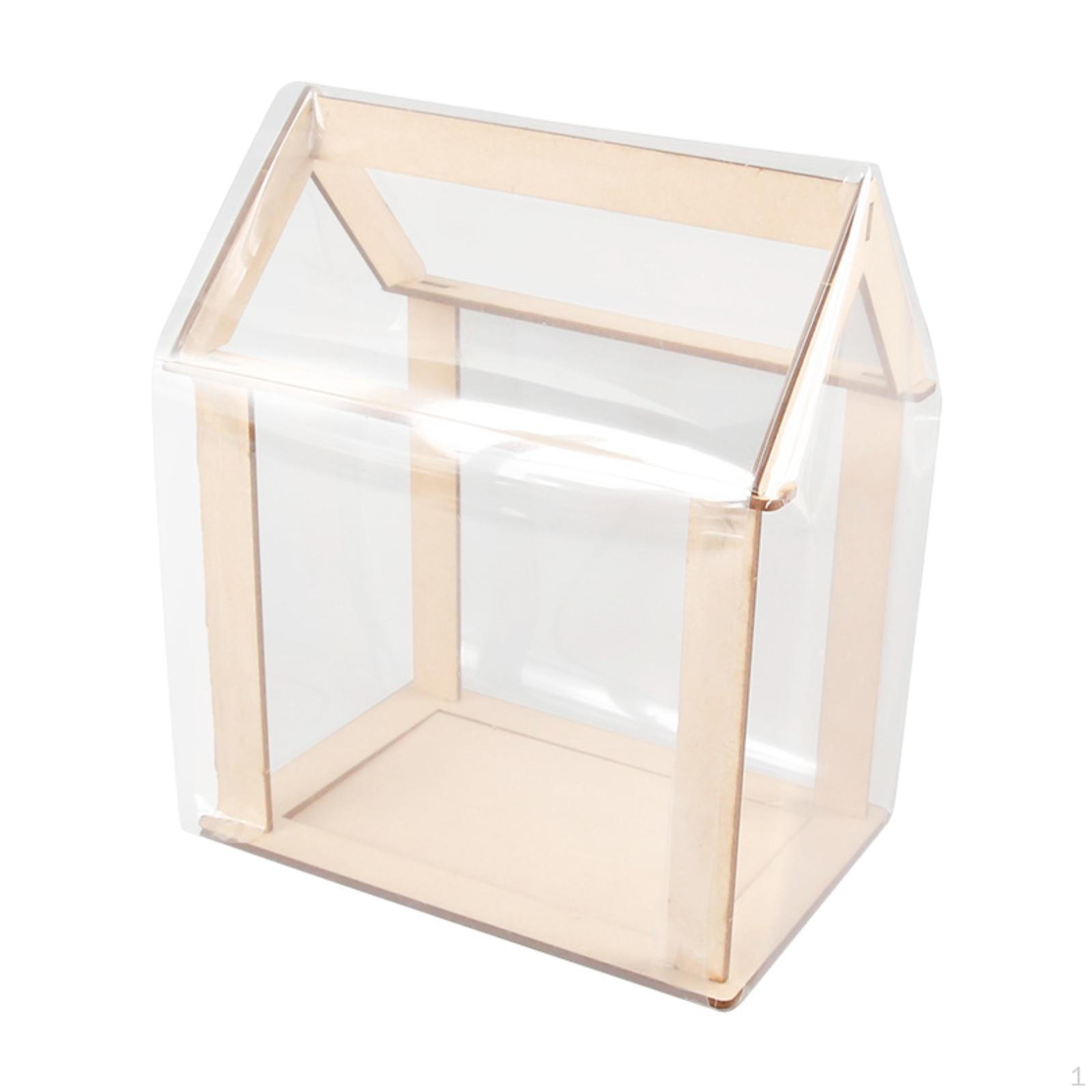 

Набор для сборки мини-теплицы своими руками, научный эксперимент, развитие растений, принадлежности для девичника